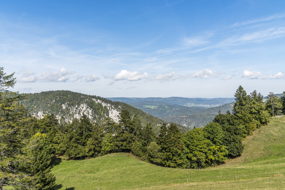 Aussicht Jura Höhenweg