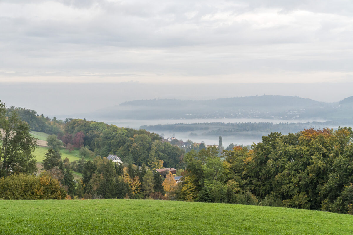 Morgennebel im Seetal