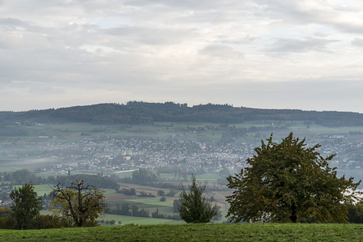 Meisterschwanden