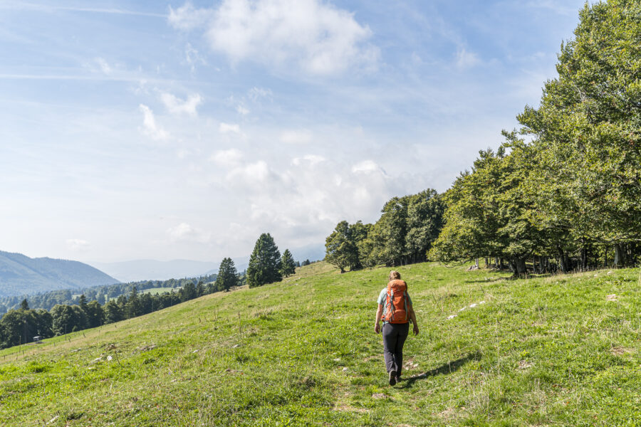 Jura Höhenweg Chasseral