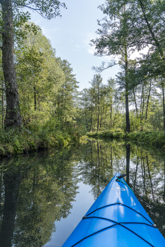 Mit Kanu im Spreewald unterwegs