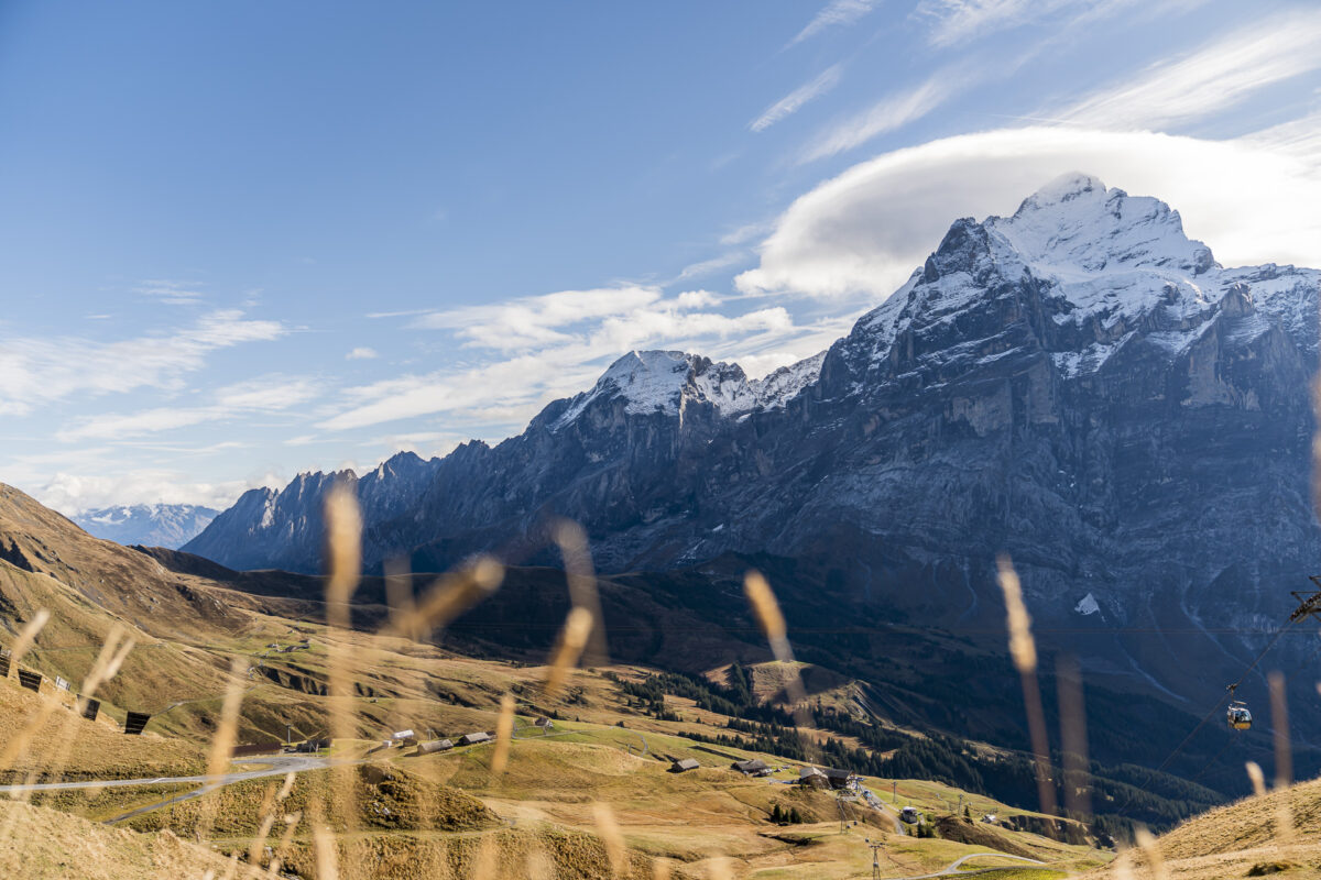 Grindelwald First Panorama