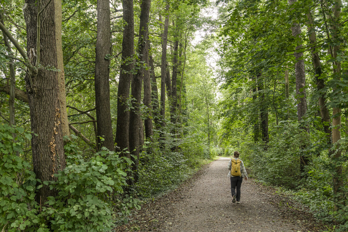 Spreewald Wanderwege