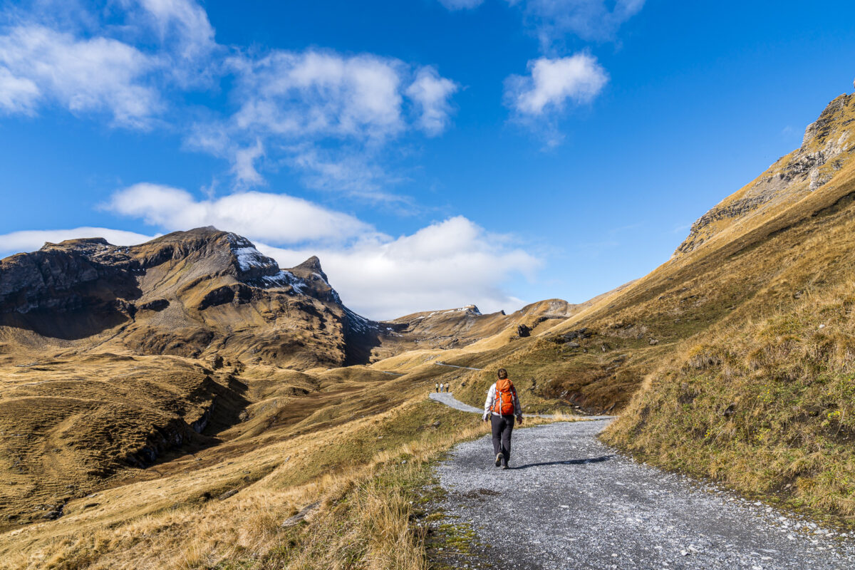 Wanderung zum Bachalpsee