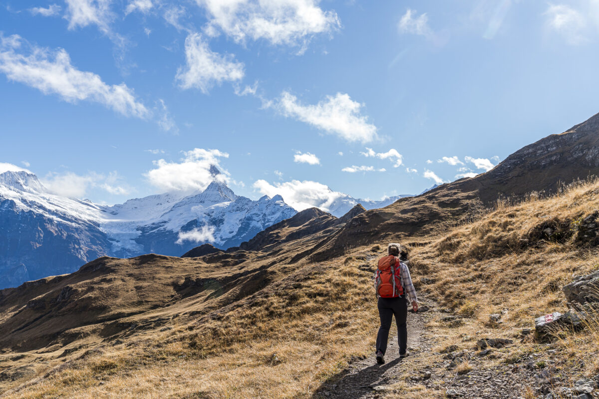 Impressionen von der Wanderung Bachalpsee - Bussalp