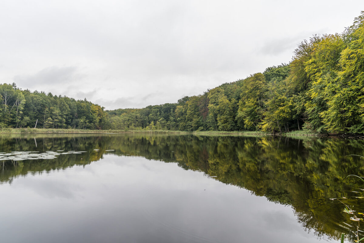 Schutzgebiete Uckermark