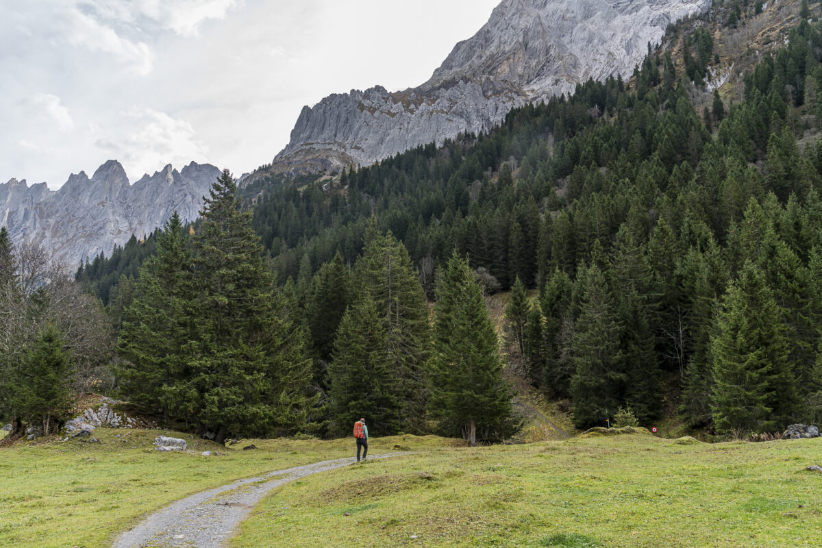 Unterwegs auf der Via Alpina Grosse Scheidegg - Meringen