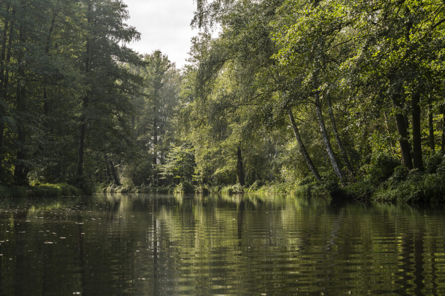 Spreewald Brandenburg