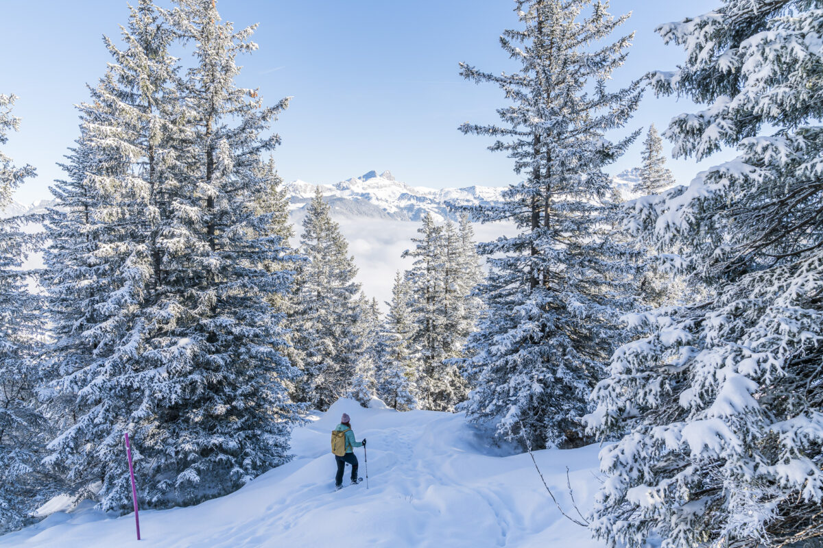 Schneeschuhwandern Brüsti