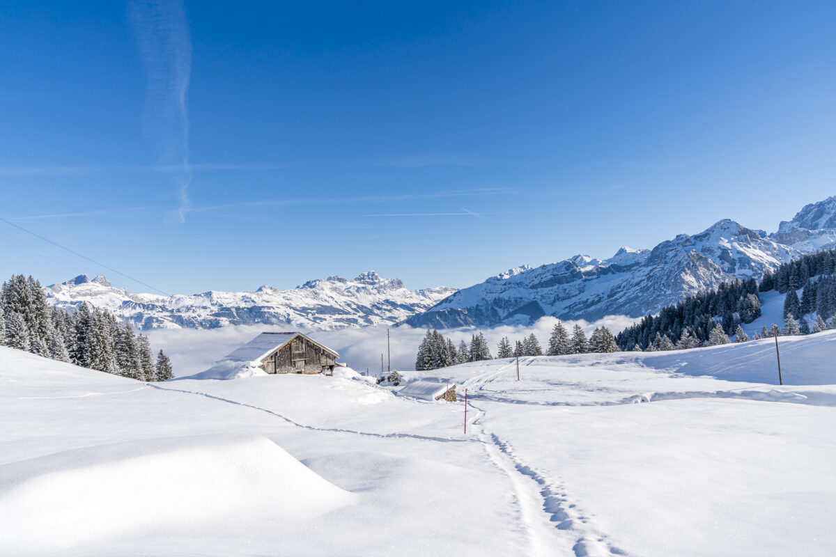 Alp Chulme Schneeschuhwandern in Uri