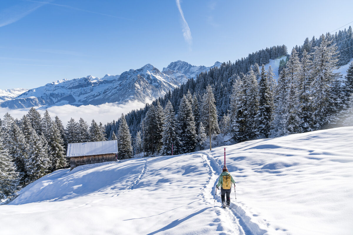 Brüsti Trail Schneeschuhtour