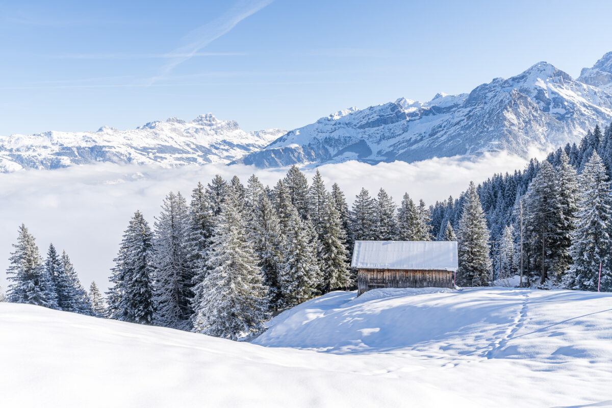 Brüsti Trail Attinghausen im Winter