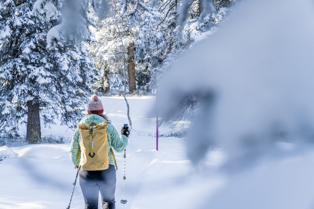 Schneeschuhtrail im Wald