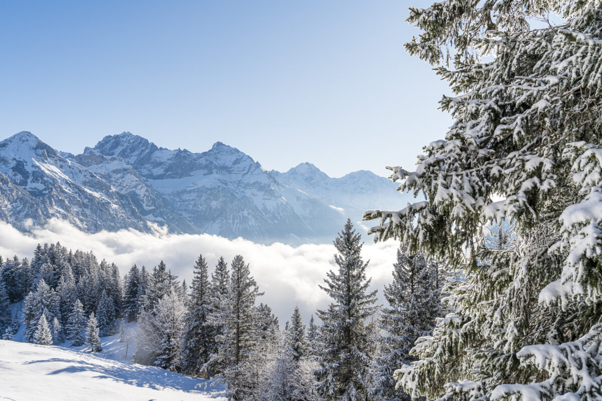 Aussicht Brüsti