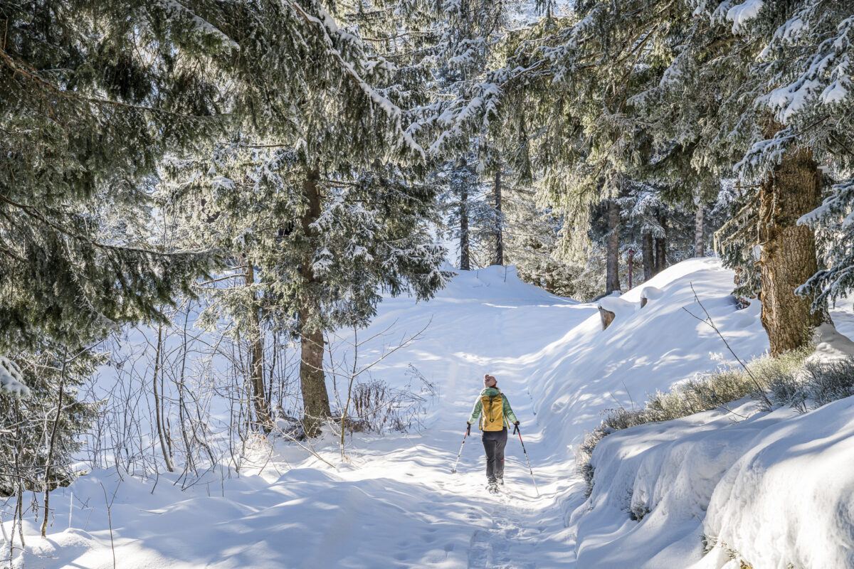 Brüsti Trail