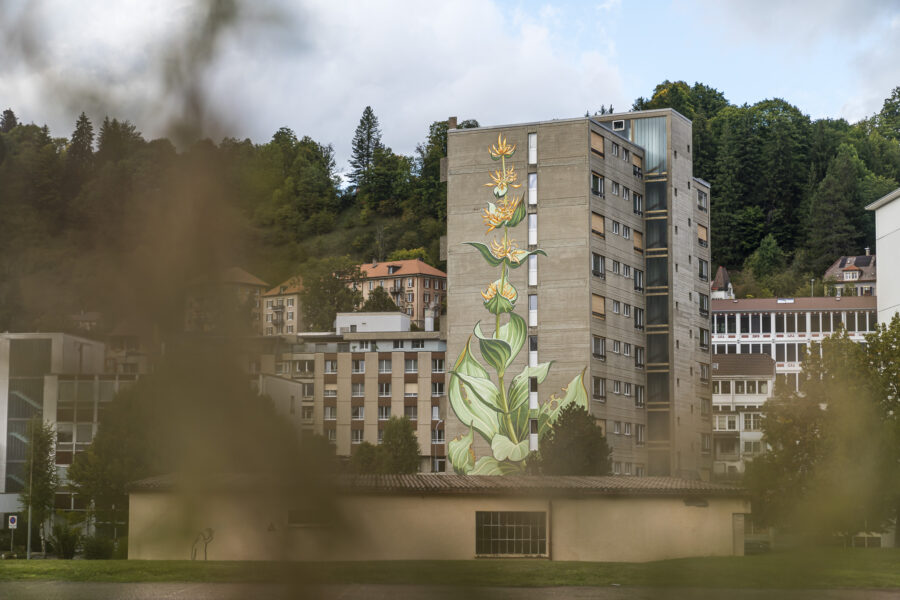 Le Locle Uhrenstadt und Street Art