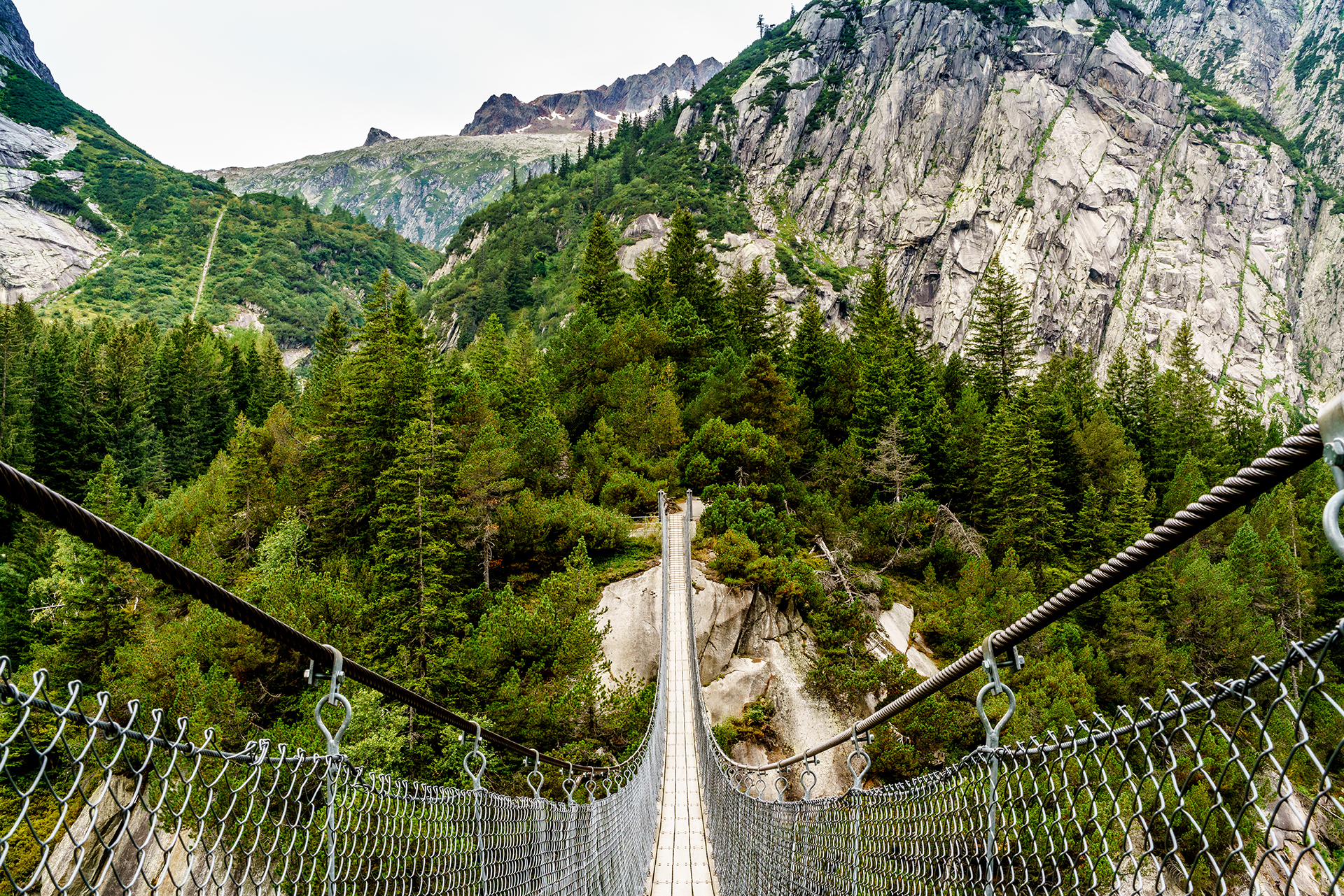 Die spektakulärsten Hängebrücken der Schweiz 11 Tipps
