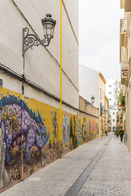 Valencia El Carmen Street Art