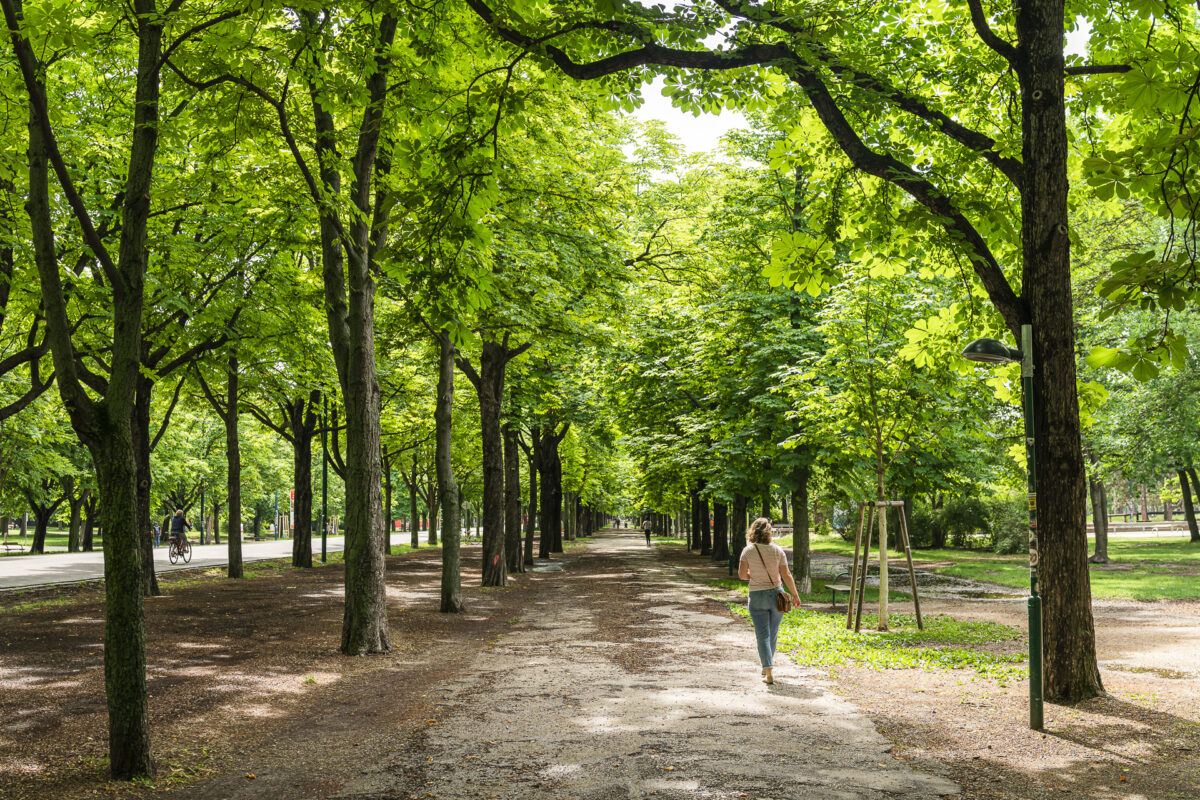 Praterallee Wien