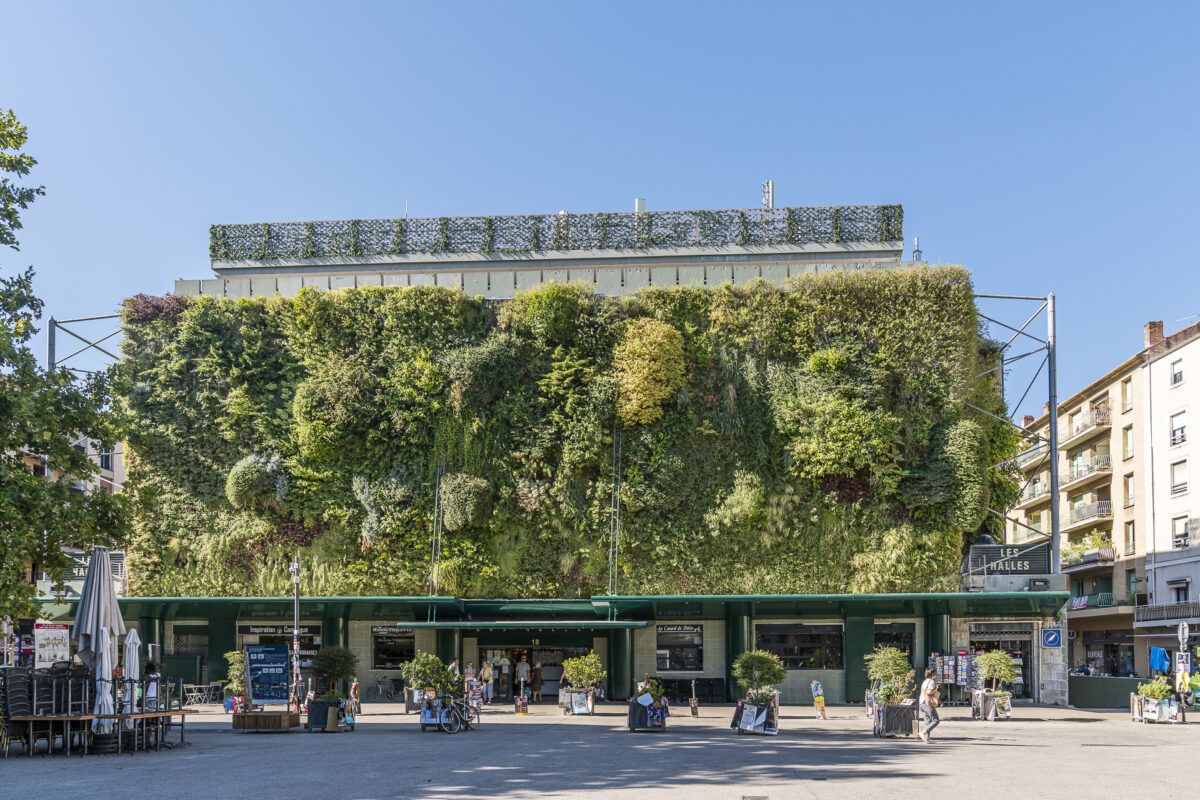 Les Halles d'Avignon