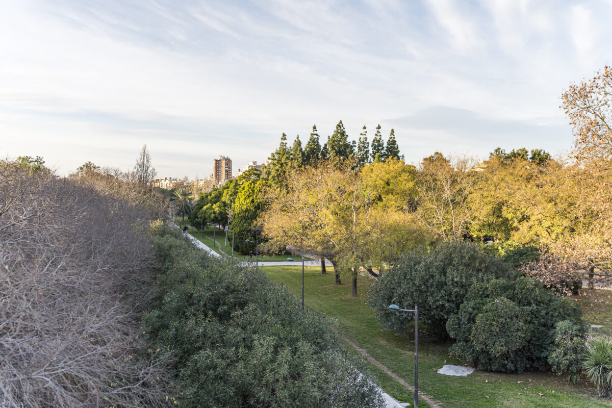 Jardin del Turia Valencia