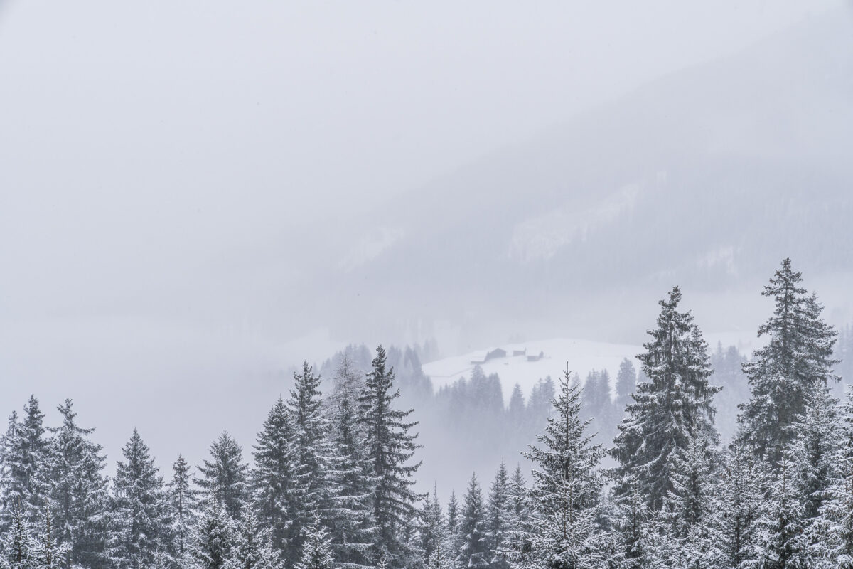 Winterlandschaft Savognin