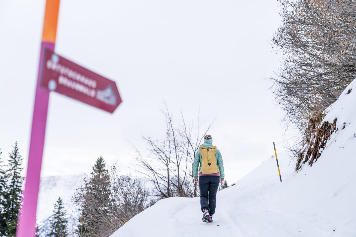 Winterwandern Ortstockhaus