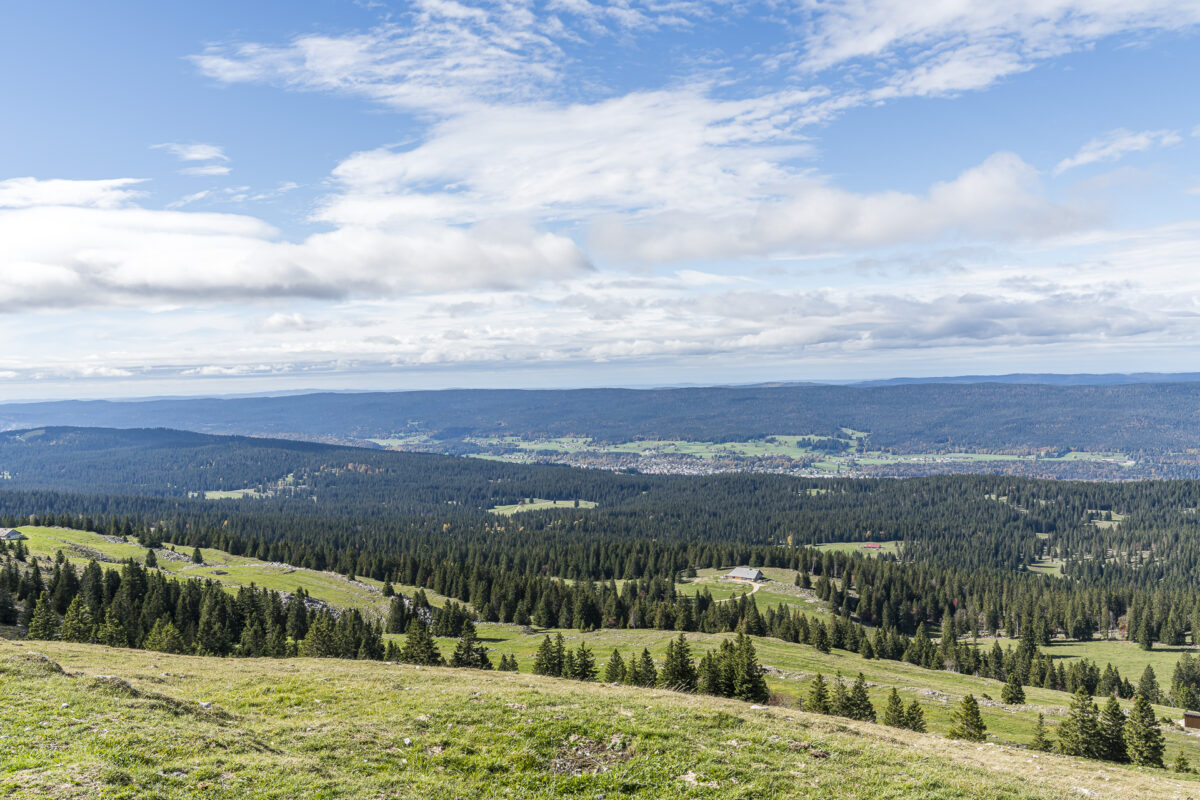 Vallée de Joux