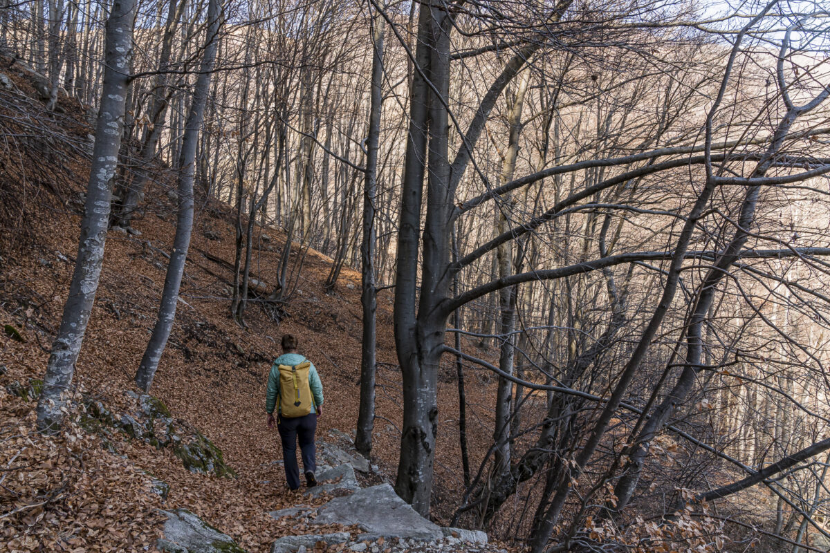 Wanderung Verzascatal