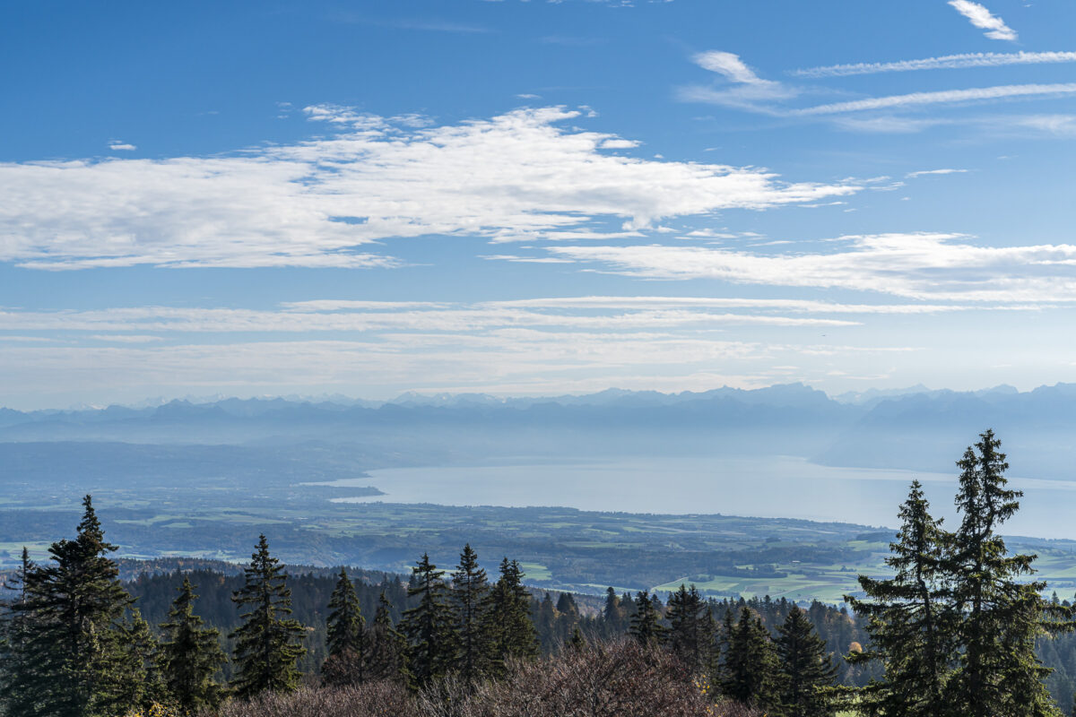 Panorama Crêt de la Neuve