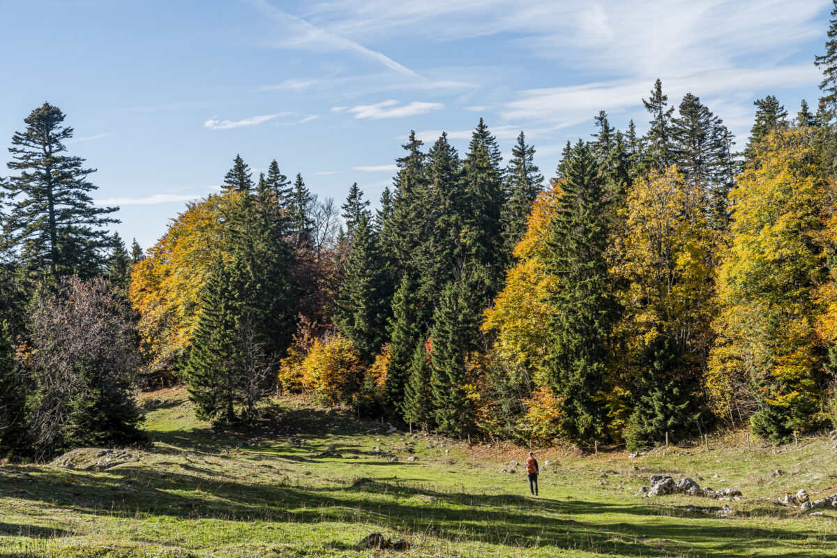 Wanderung Jura Höhenweg