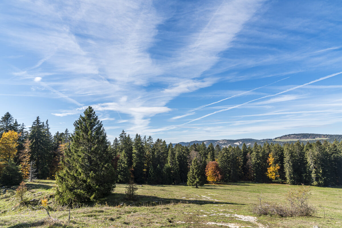 Juraweiden im Herbst