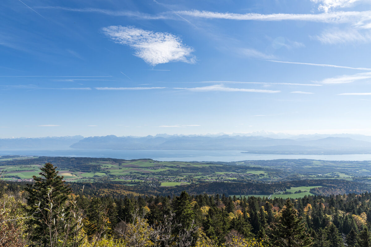 Aussicht auf den Genfersee