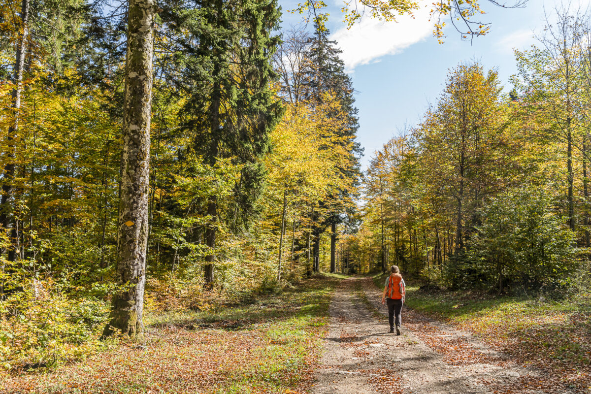 Jura Höhenweg im Herbst