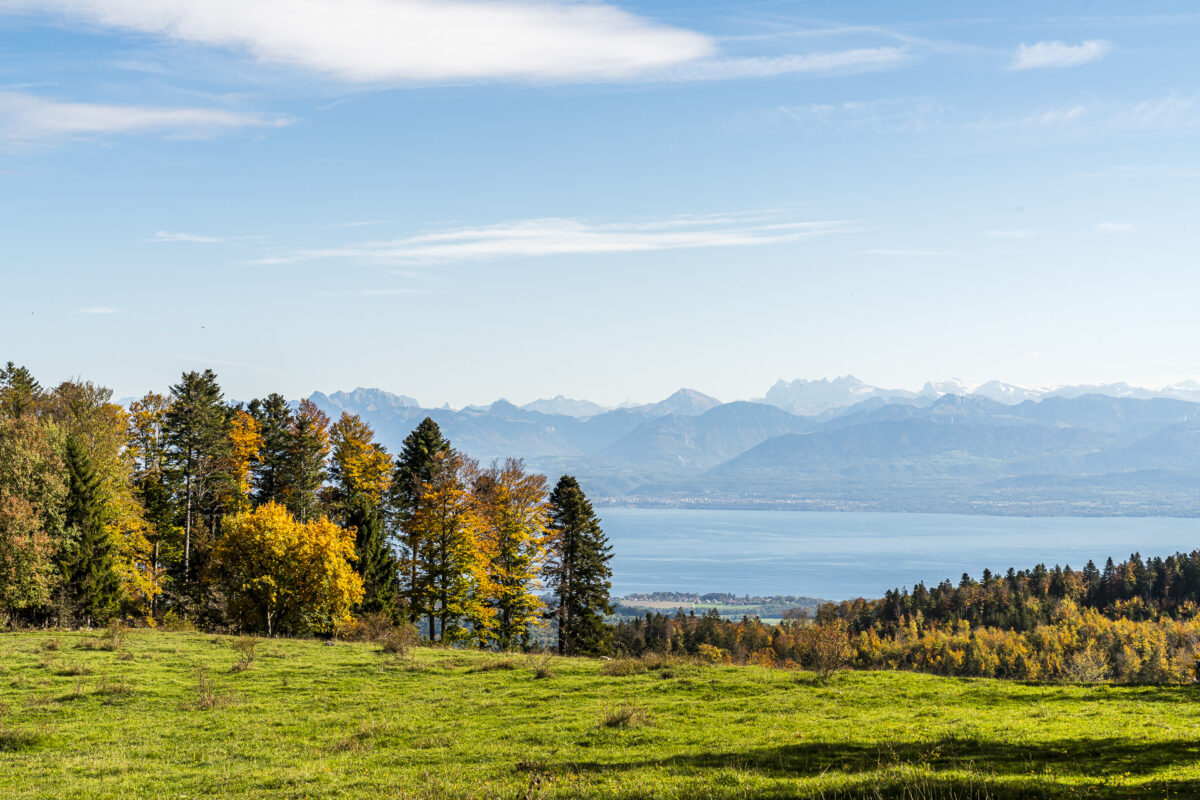 Aussicht Genfersee