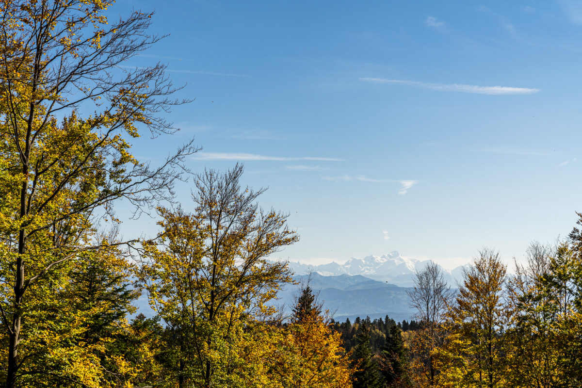 Mont Blanc Blick in St.-Cergues