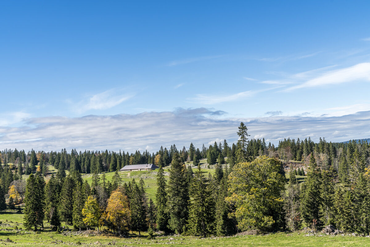 Jura Landschaften