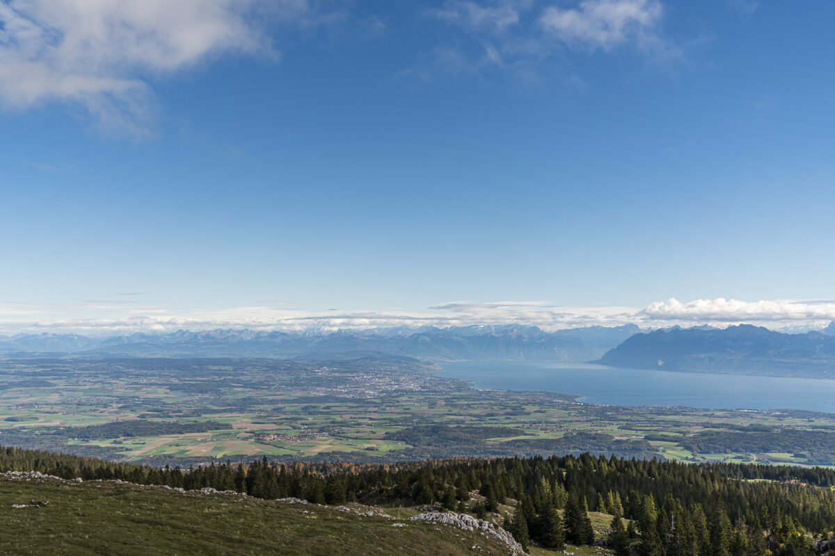 Aussicht Genfersee