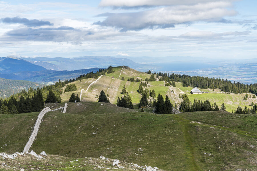 Jura Höhenweg Mont Tendre