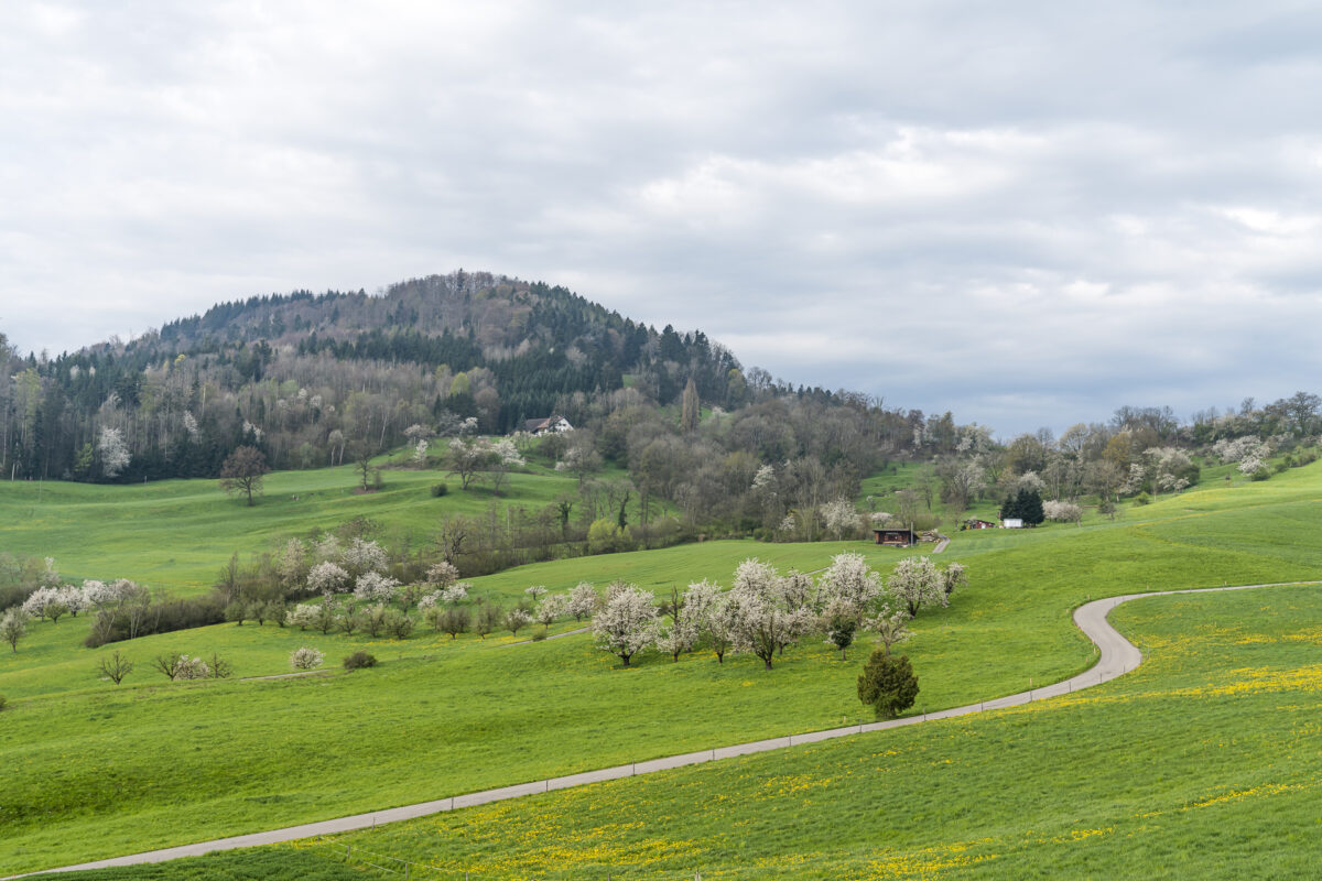 Wanderung im Fricktal