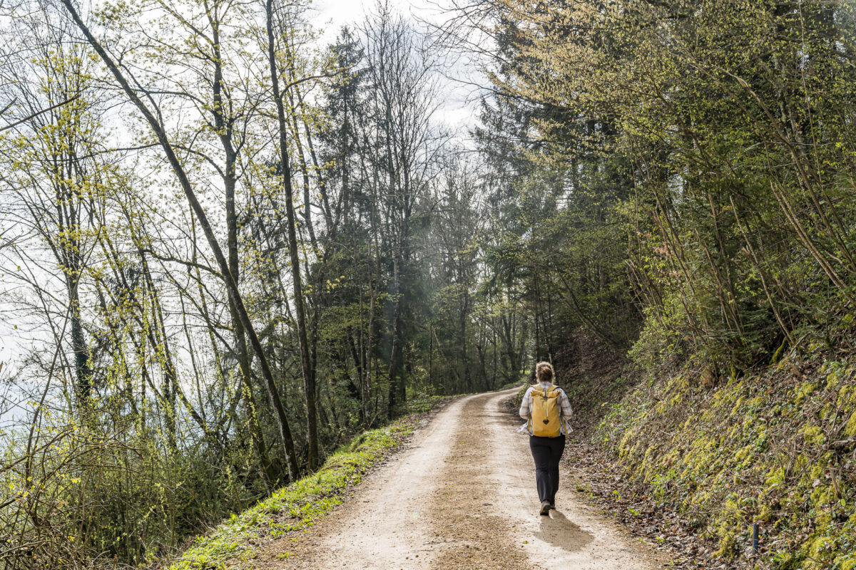 Wanderung zur Burgruine Alt Thierstein