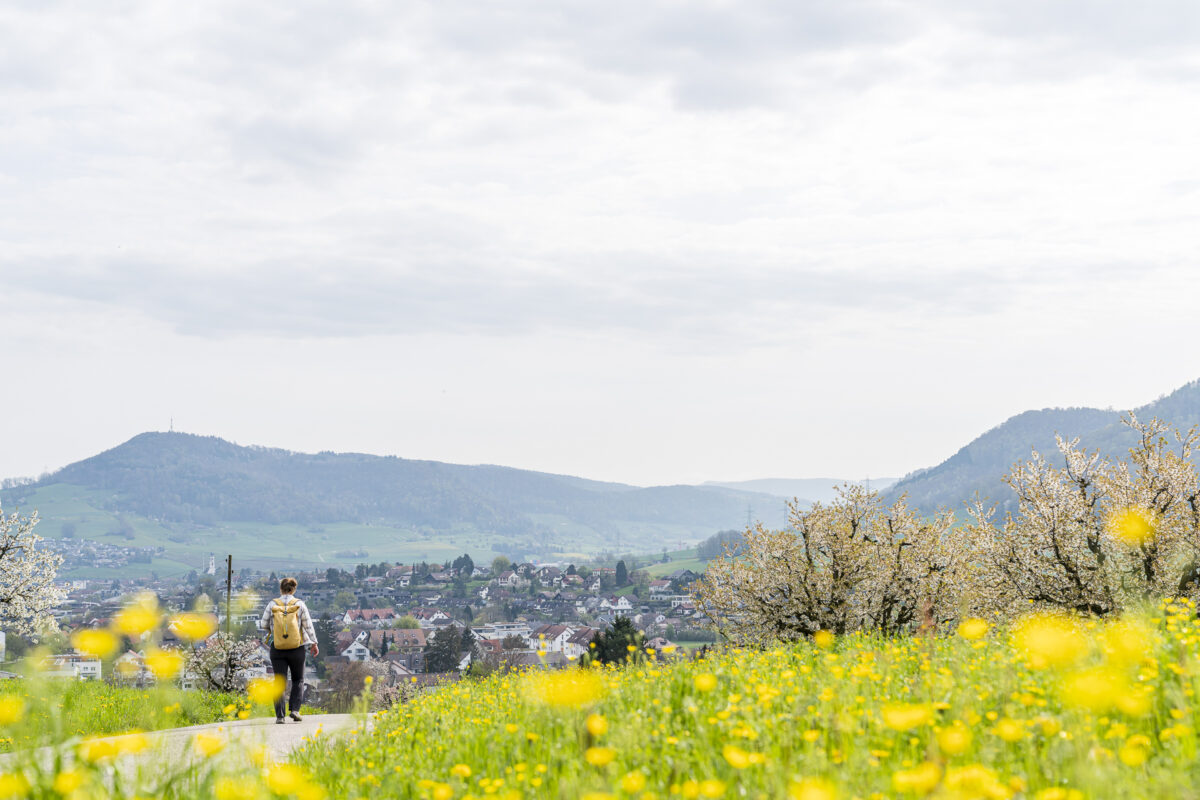 Zusatzroute auf dem Fricktaler Chriesiwäg