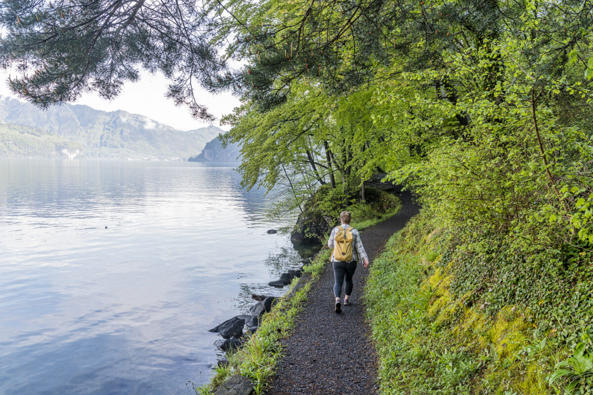 Wanderung auf dem Weg der Schweiz