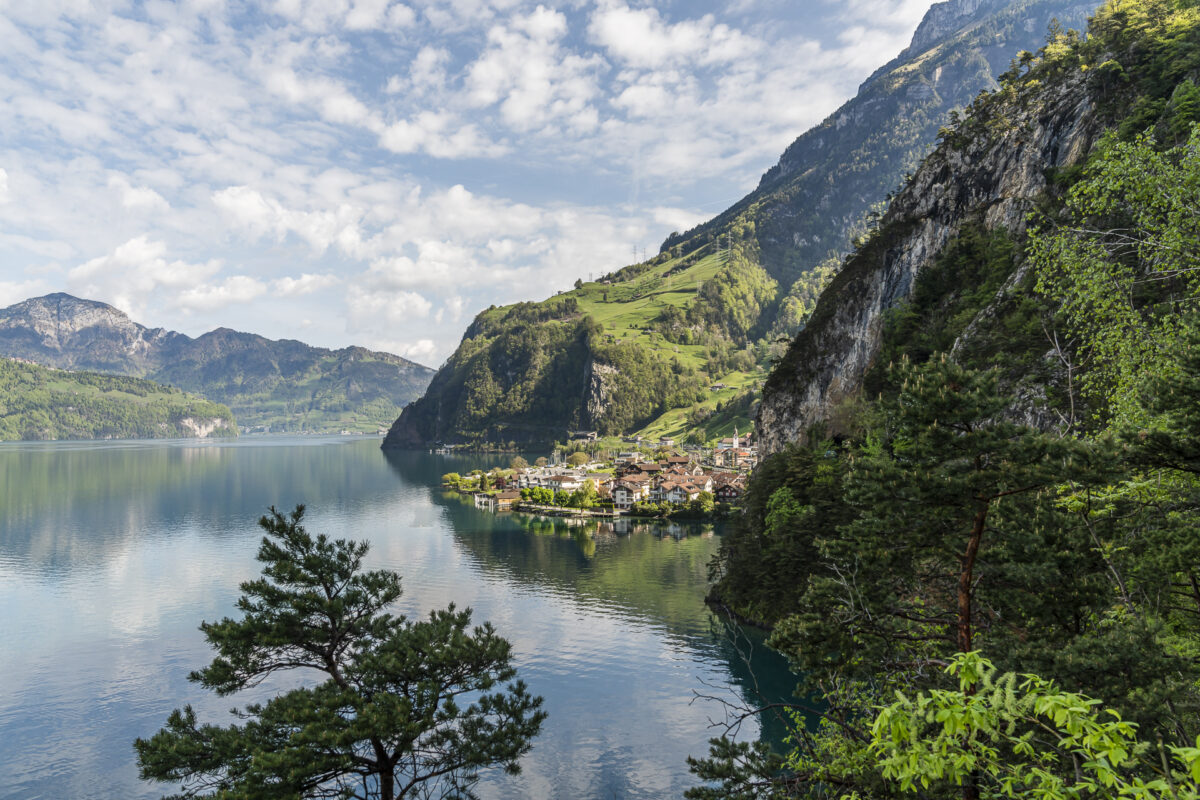 Blick auf Sisikon vom Wanderweg