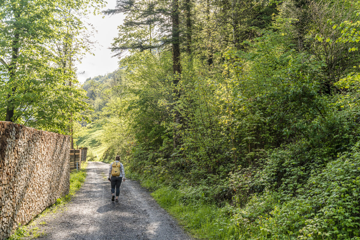 Sisikon Weg der Schweiz