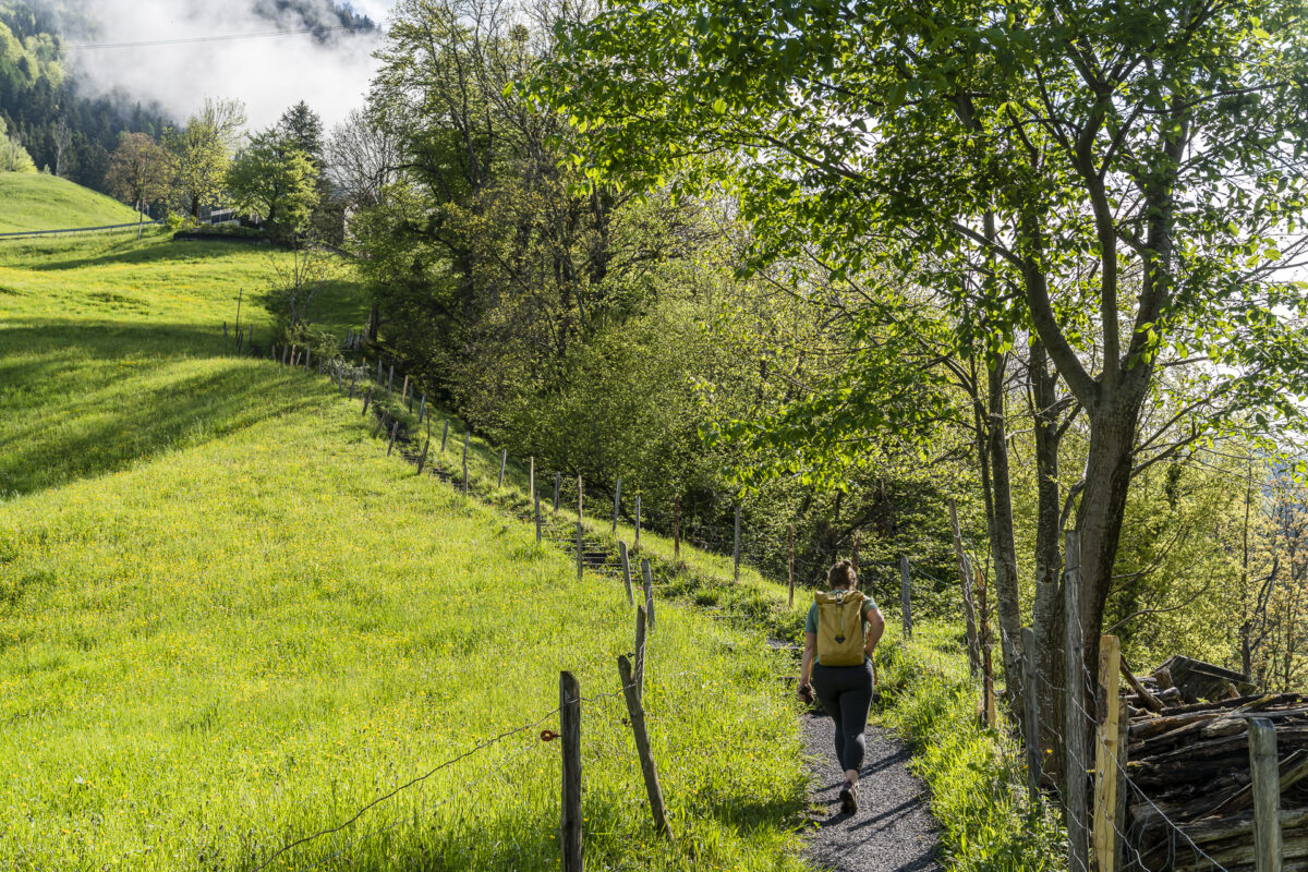 Weg der Schweiz Sisikon Brunnen