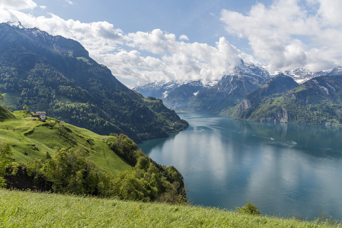 Aussicht der Urnersee