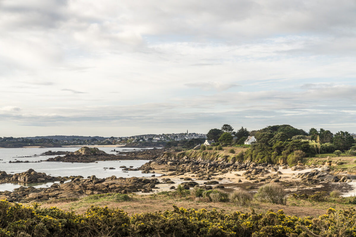 Ile de Callot Bretagne