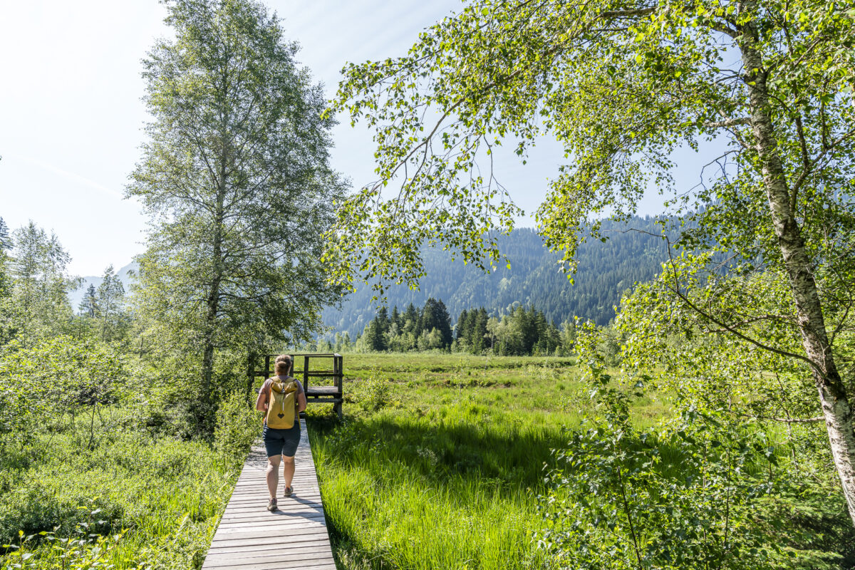 Hochmoor Steinmösli