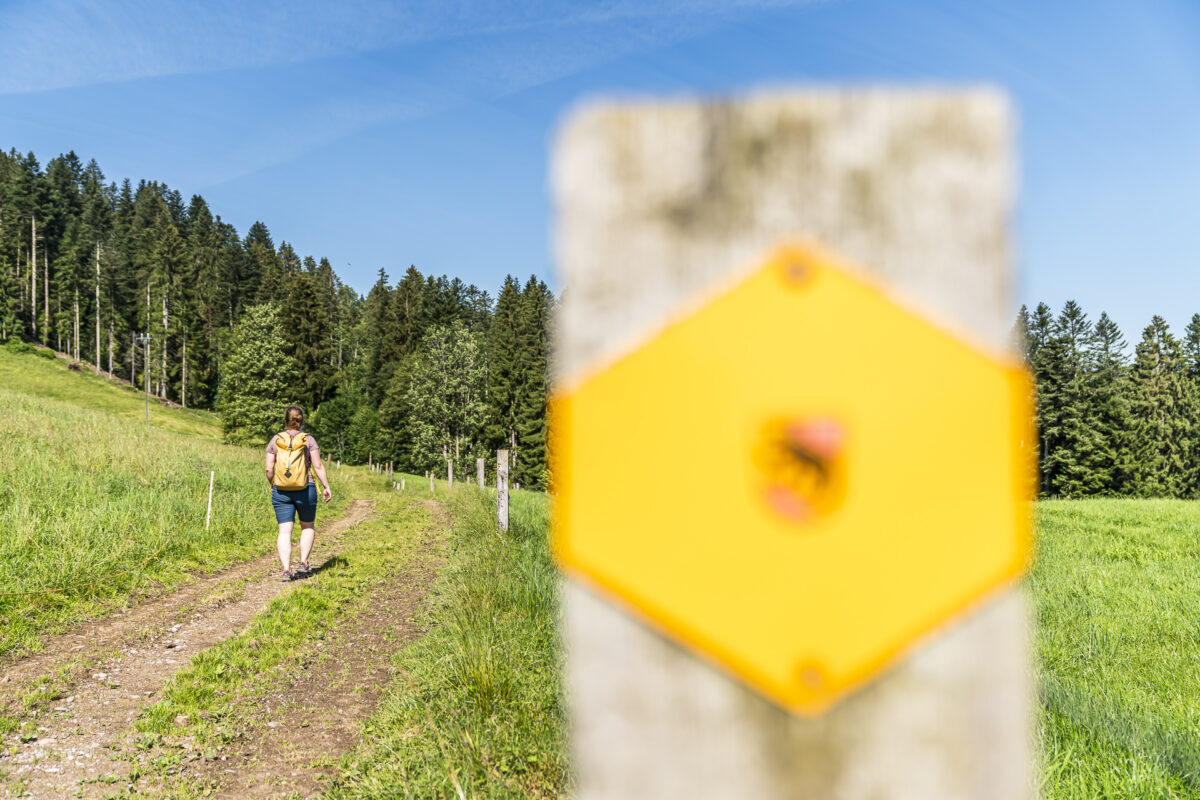 Schallenberg Wanderwege